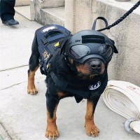工作犬防刺服 防护装备